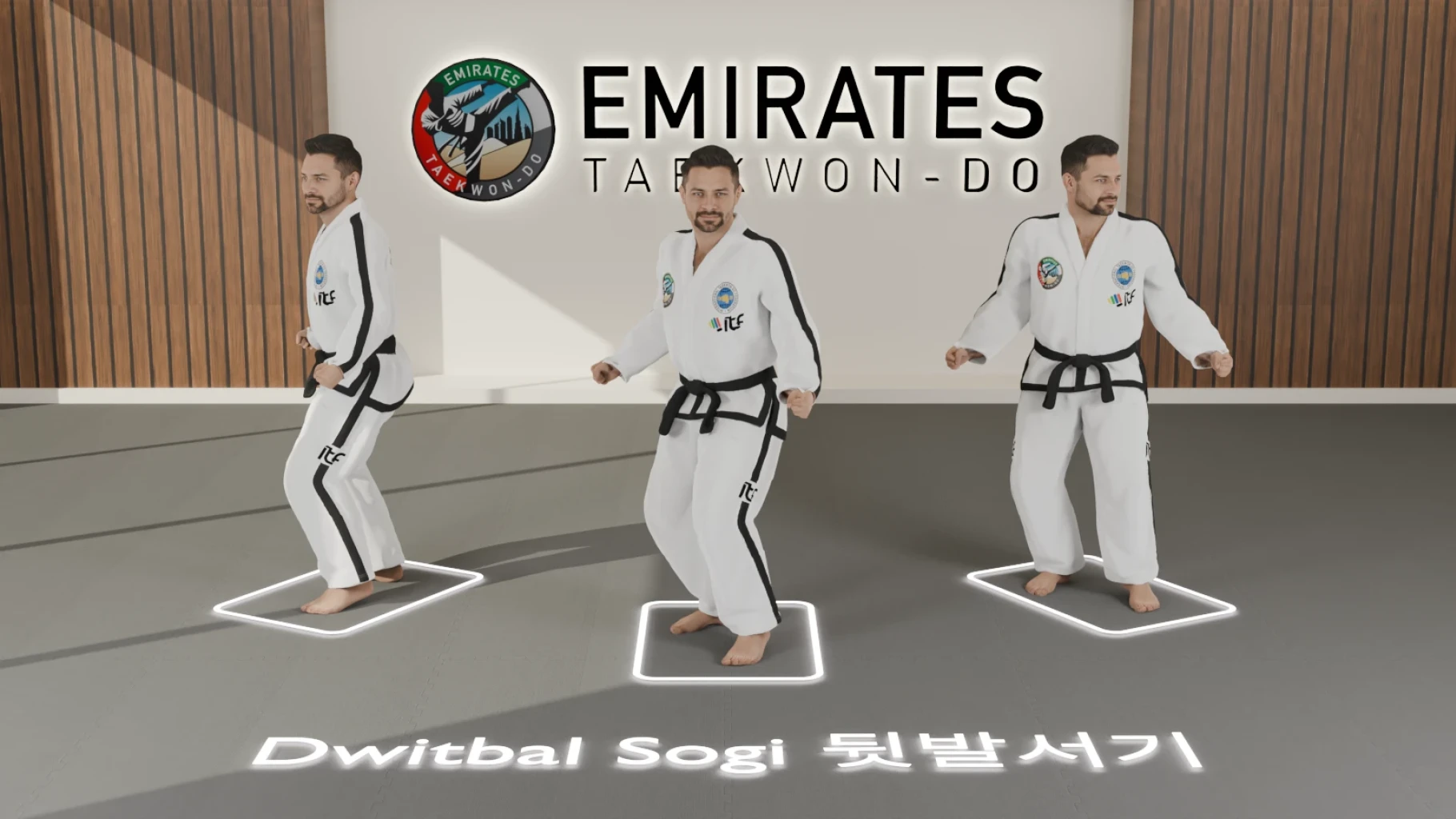 Dwitbal sogi
