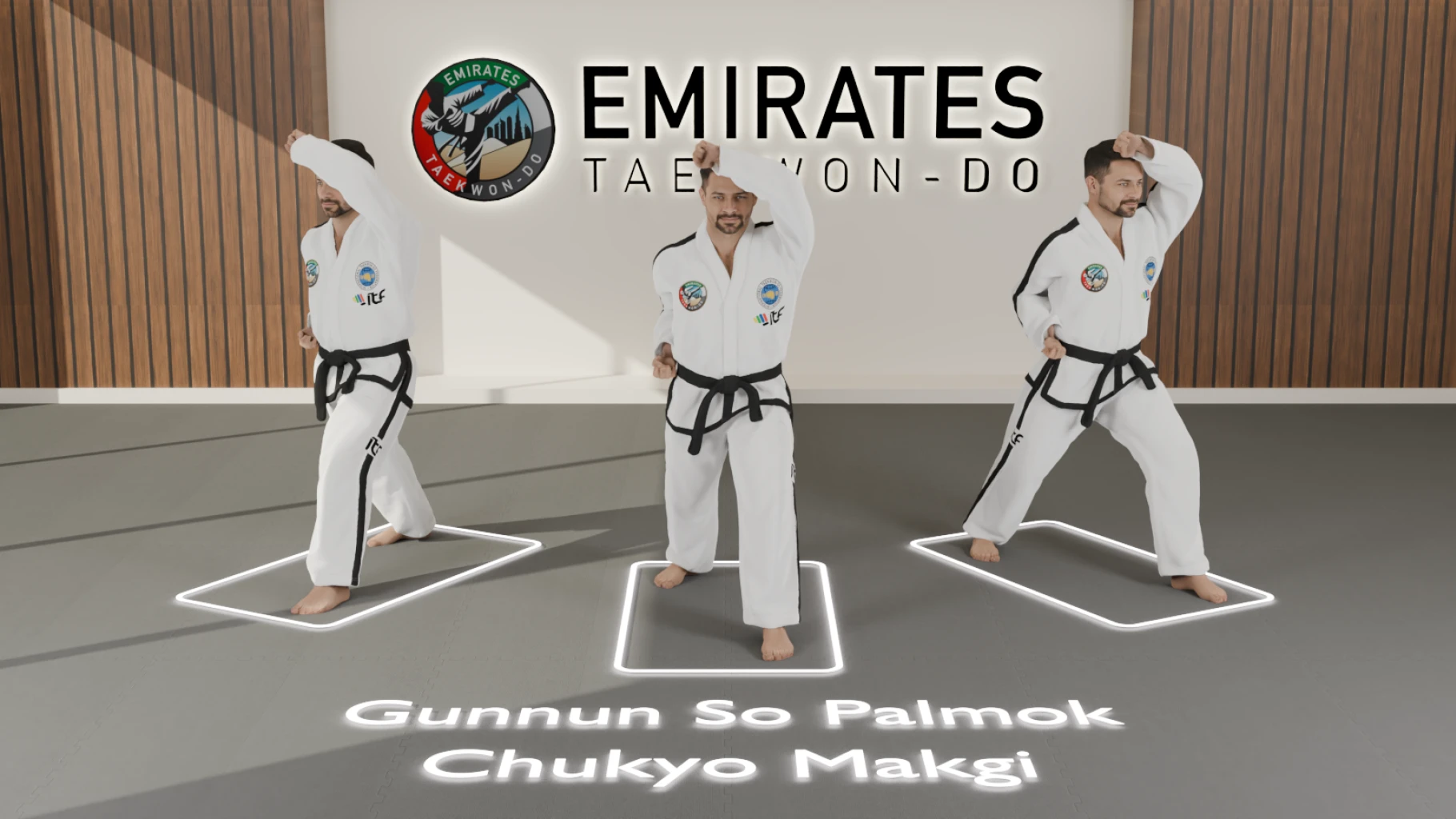 Palmok Chookyo Makgi