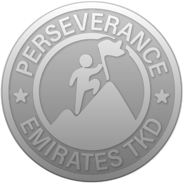 Perseverance Medal