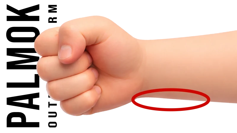 palmok - antebraço externo