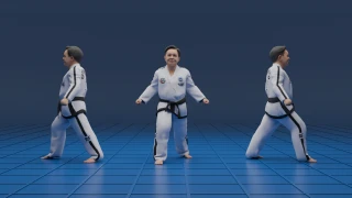 Walking stance (Gunnun Sogi)