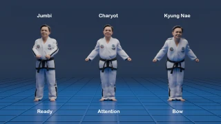 Salute and attention stance protocol in Taekwon-Do