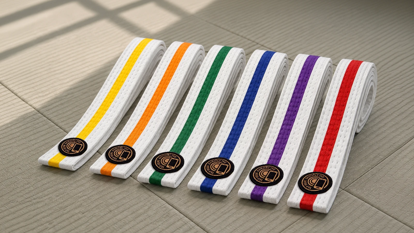 Intermediate belts