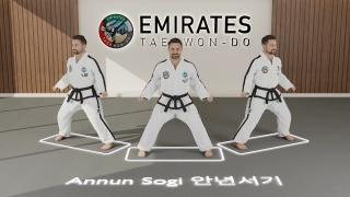 Sitting stance (Annun Sogi) technical reference