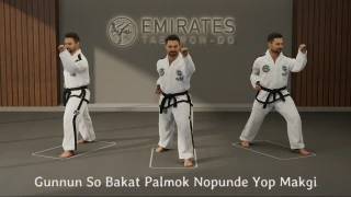 Walking stance outer forearm high side block (Gunnun So Bakat Palmok Nopunde Yop Makgi) technical reference