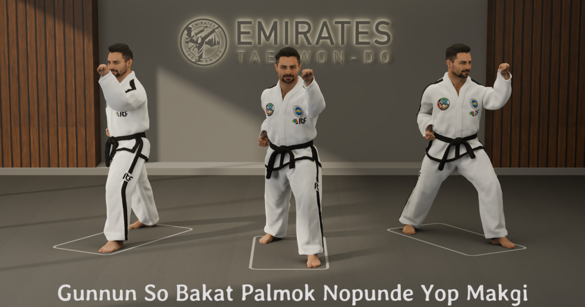 Walking stance outer forearm high side block (Gunnun So Bakat Palmok Nopunde Yop Makgi) technical reference cover image