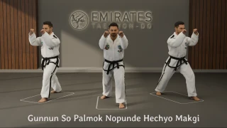 Walking stance forearm wedging block (Gunnun So Palmok Hechyo Makgi) technical reference