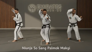 L-stance twin forearm block (Niunja So Sang Palmok Makgi) technical reference
