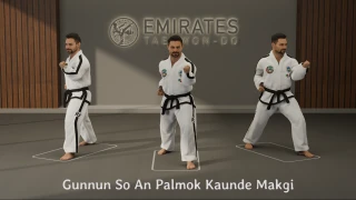 Walking stance inner forearm middle block (Gunnun So An Palmok Kaunde Makgi) technical reference