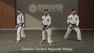 Walking stance knife-hand low block (Gunnun So Sonkal Najunde Makgi) technical reference