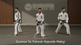 Walking stance outer forearm low block (Gunnun So Bakat Palmok Najunde Makgi) technical reference