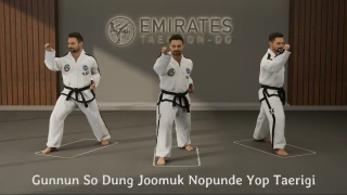 Walking stance back fist high side strike (Gunnun So Dung Joomuk Nopunde Yop Taerigi) technical reference