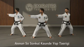 Sitting stance middle side knife-hand strike (Annun So Sonkal Kaunde Yop Taerigi) technical reference