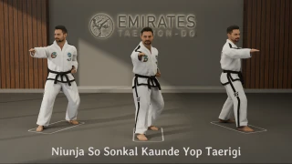 L-stance middle side knife-hand strike (Niunja So Sonkal Kaunde Yop Taerigi) technical reference