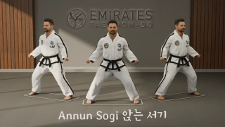 Sitting stance (Annun Sogi) technical reference