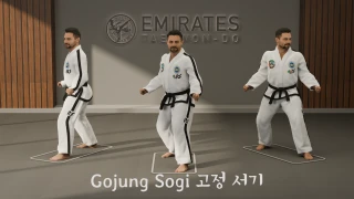 Fixed stance (Gojung Sogi) technical reference