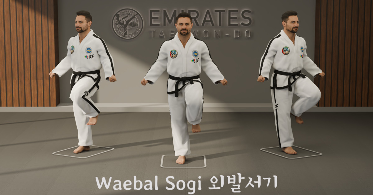 Referencia técnica de posición de una pierna (Waebal Sogi) cover image