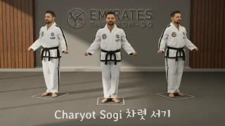 Attention stance (Charyot Sogi) technical reference