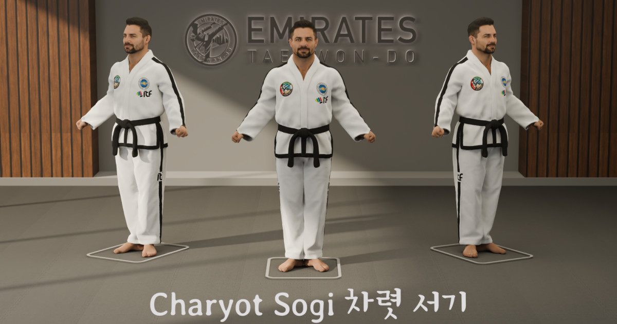 Attention stance (Charyot Sogi) technical reference cover image