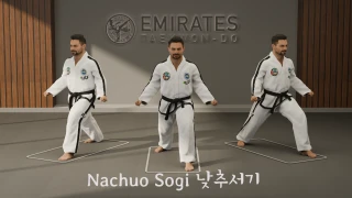 Low stance (Nachuo Sogi) technical reference