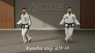 X-stance (Kyocha Sogi) technical reference