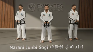 Parallel ready stance (Narani Junbi Sogi) technical reference