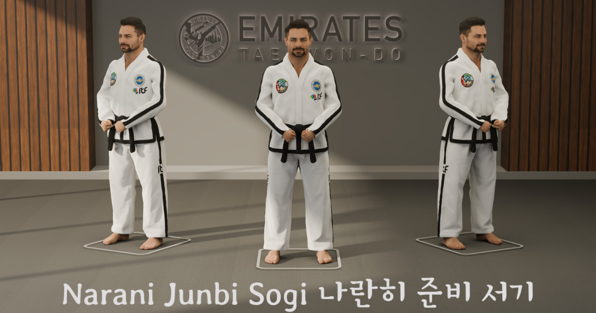 Parallel ready stance (Narani Junbi Sogi) technical reference cover image