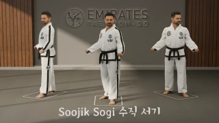 Vertical stance (Soojik Sogi) technical reference