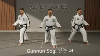 Walking stance (Gunnun Sogi) technical reference