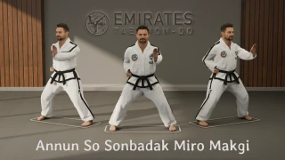 बैठने की स्थिति हथेली धकेलने का ब्लॉक (Annun So Sonbadak Miro Makgi) तकनीकी संदर्भ