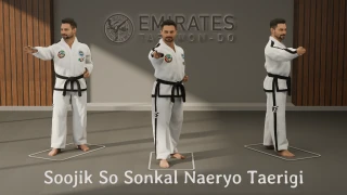Техническая справка о вертикальном стойке с ударом ножевой рукой вниз (Soojik So Sonkal Naeryo Taerigi)