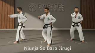 Техническая справка по прямому среднему удару в позиции L (Niunja So Baro Jirugi)