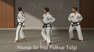 L-स्थिति साइड कोहनी धक्का (Niunja So Yop Palkup Tulgi) तकनीकी संदर्भ