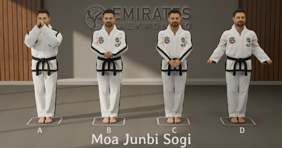Close ready stance (Moa Junbi Sogi) technical reference cover image